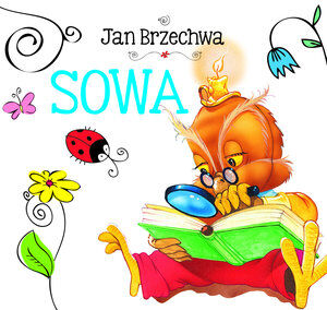 Sowa. Biblioteczka niedźwiadka