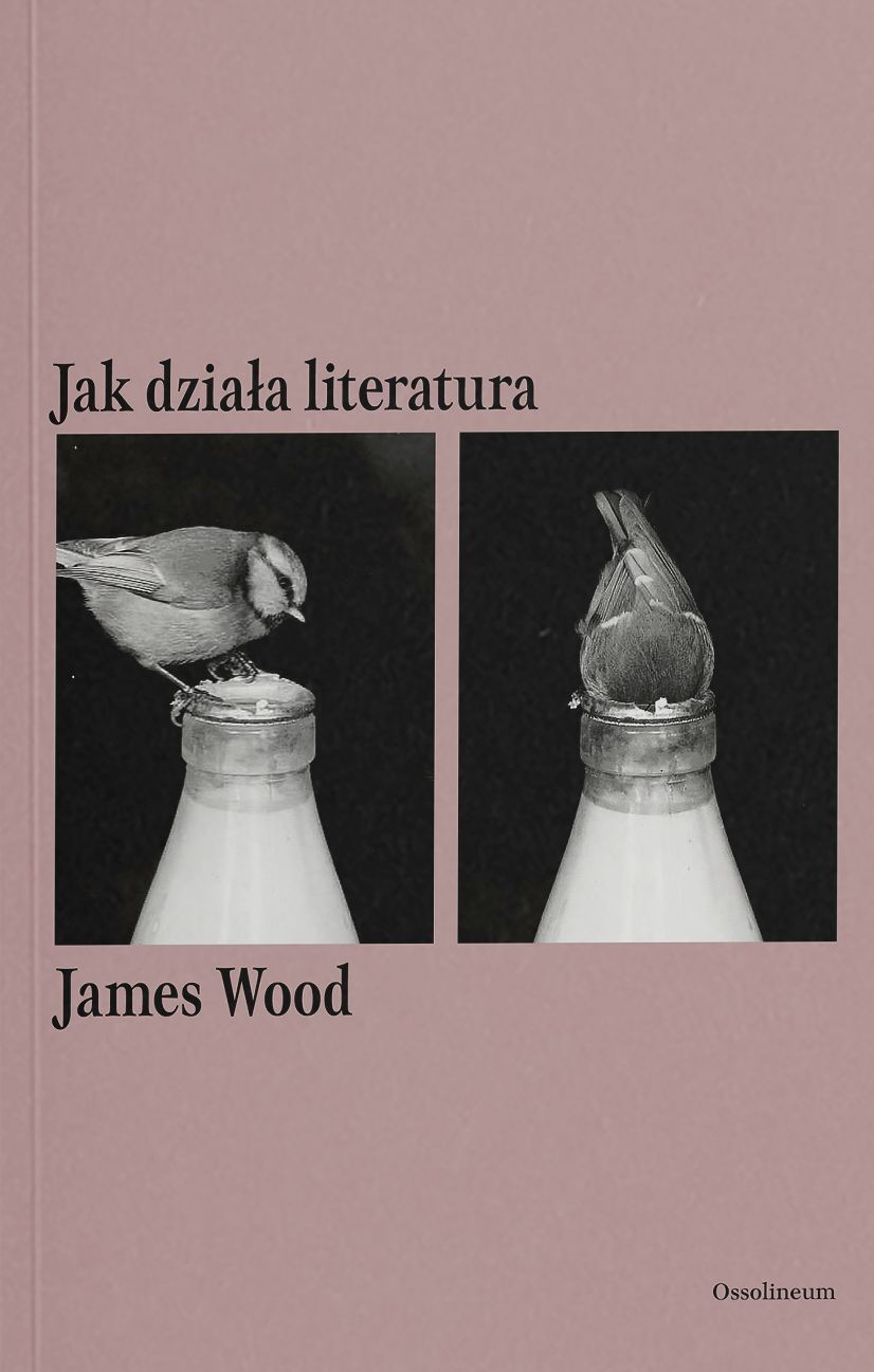 Jak działa literatura