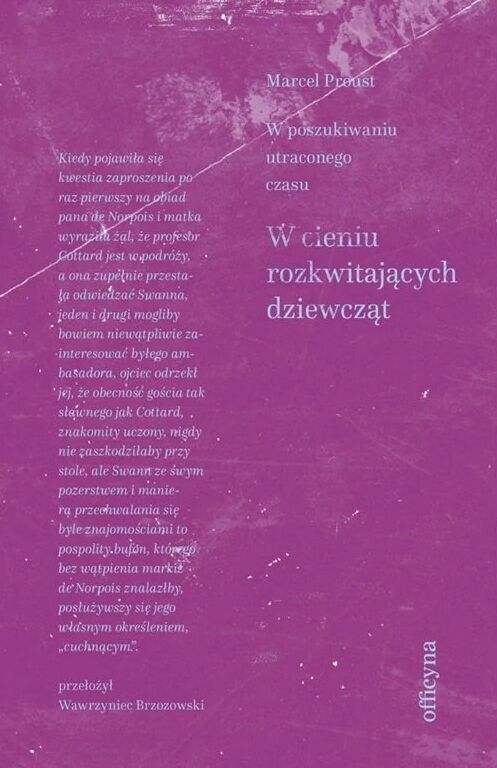 W cieniu rozkwitających dziewcząt. Cykl W poszukiwaniu straconego czasu. Tom 2