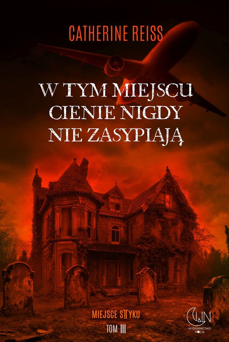 W tym miejscu cienie nigdy nie zasypiają. Seria Miejsce styku. Tom 3