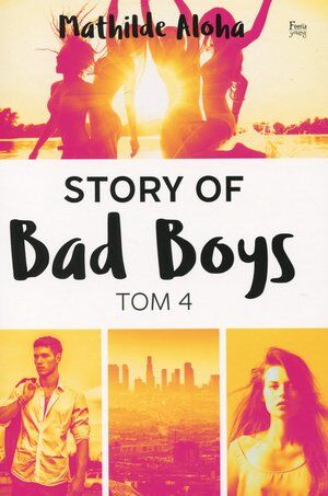 Story of Bad Boys. Tom 4