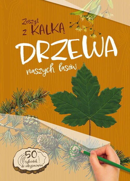 Ptaki naszych lasów