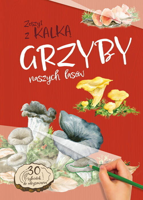 Grzyby naszych lasów