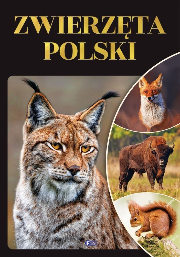 Zwierzęta Polski