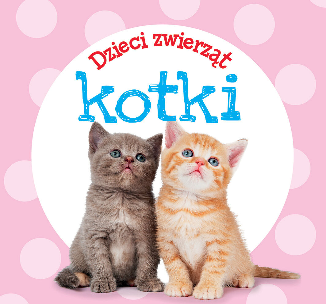 Dzieci zwierząt - kotki