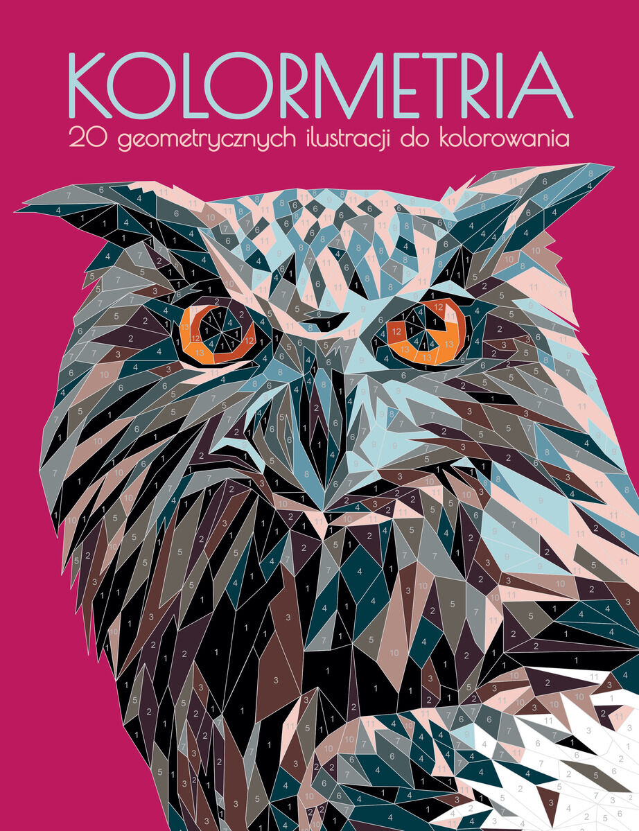 Kolormetria. 20 geometrycznych ilustracji do kolorowania