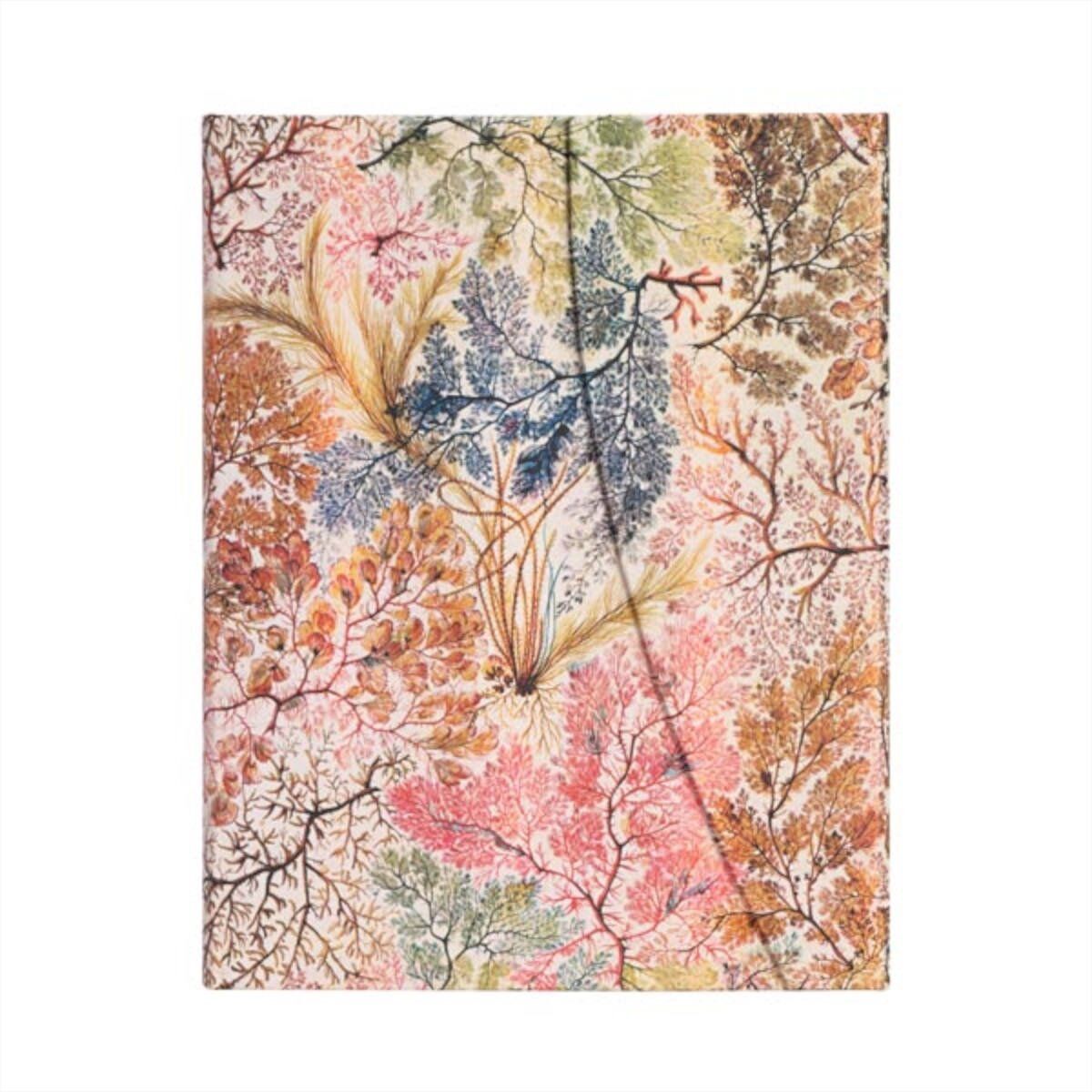 Notes Anemone Ultra Linia