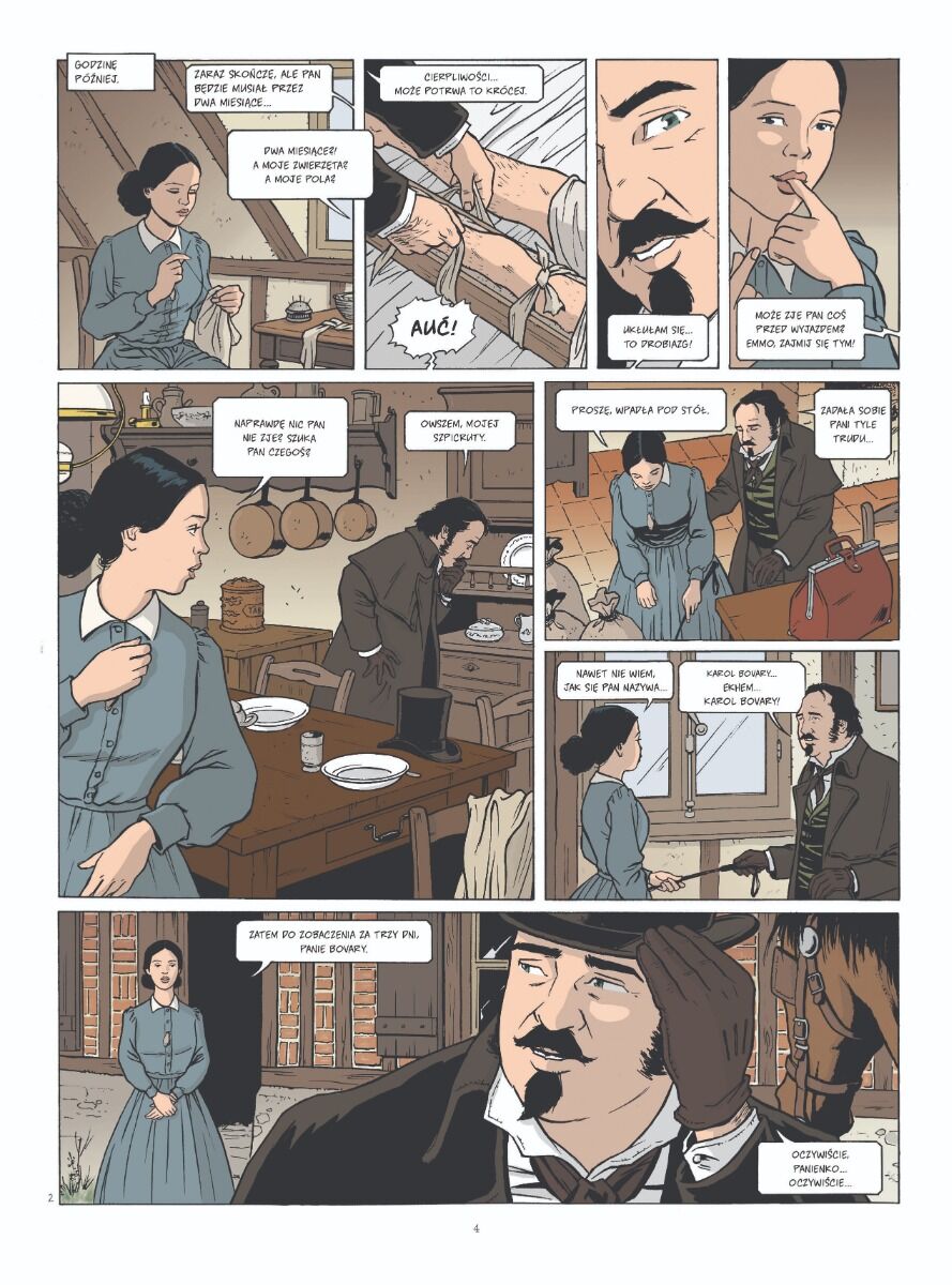 Adaptacje literatury - Pani Bovary