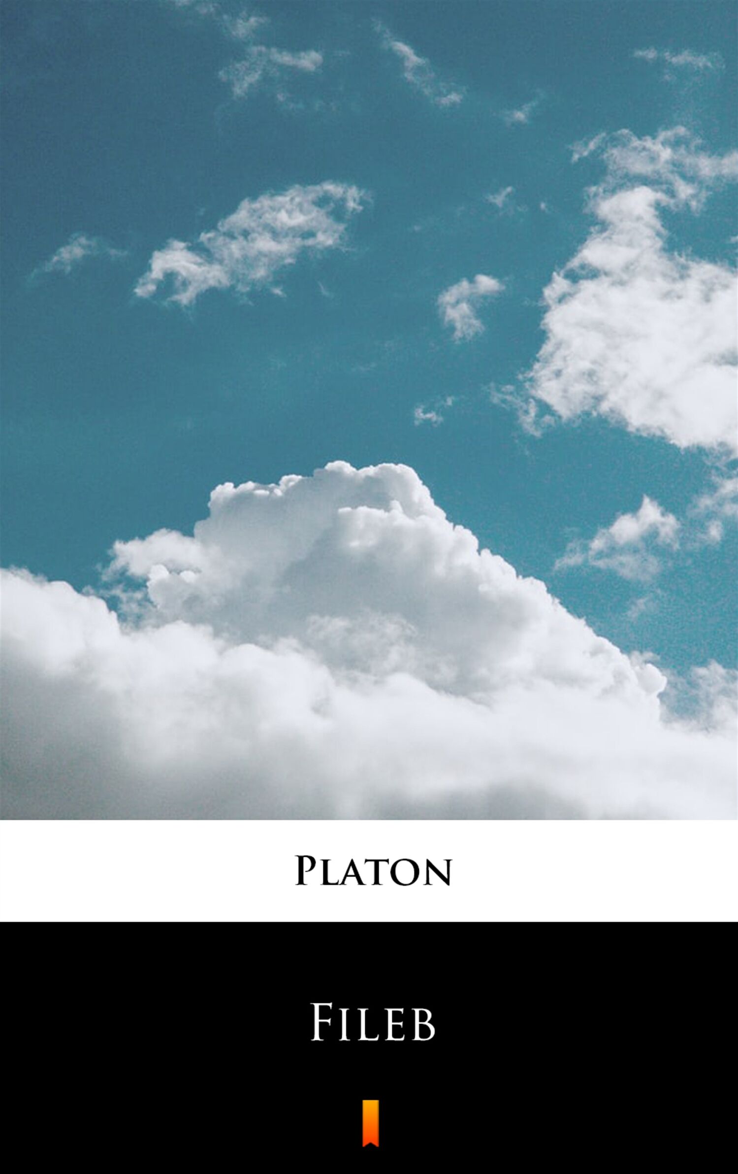 Fileb (e-book)