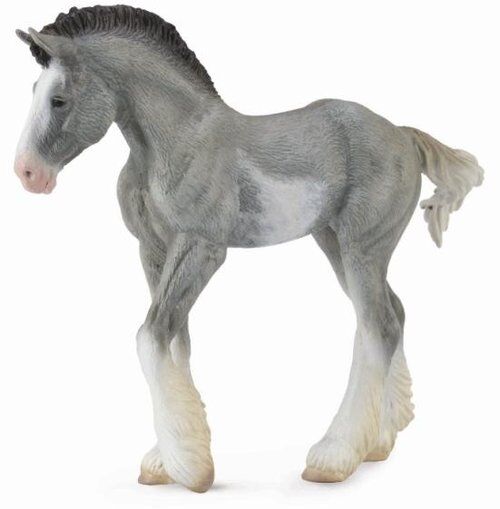 Źrebię Clydesdale Black Sabino Roan M)