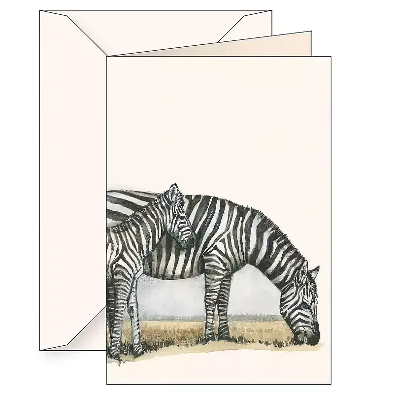 Karnet b6 koperta 7505 zebra