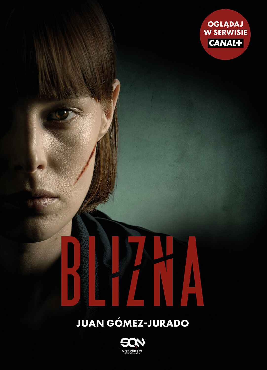 Blizna (wydanie serialowe)