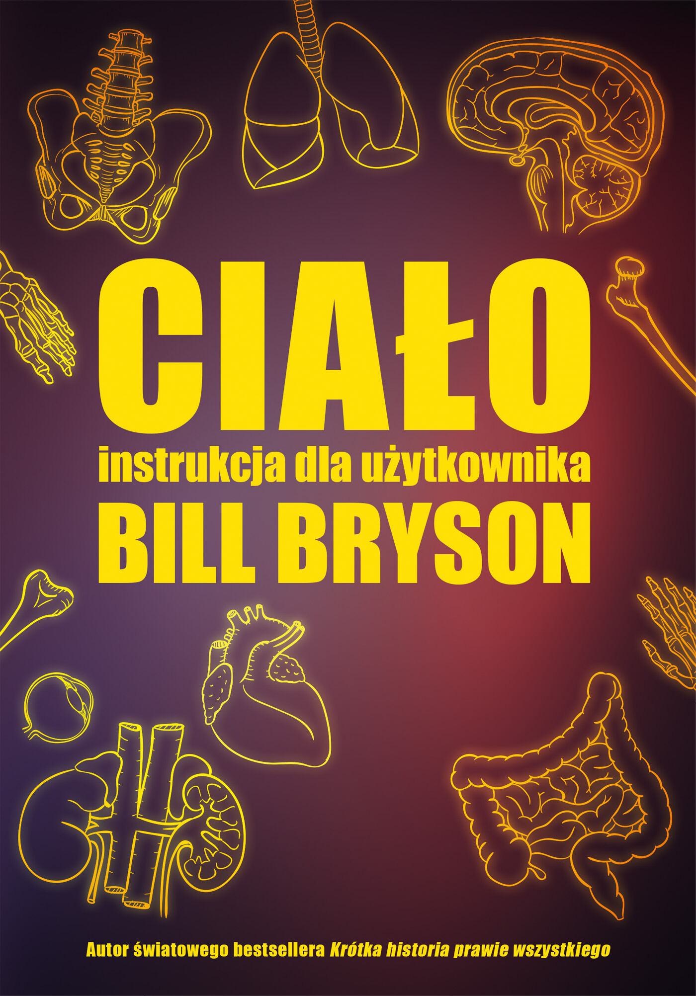 Ciało. Instrukcja dla użytkownika (e-book)