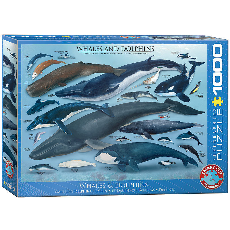 Puzzle 1000 wieloryby i delfiny 6000-0082
