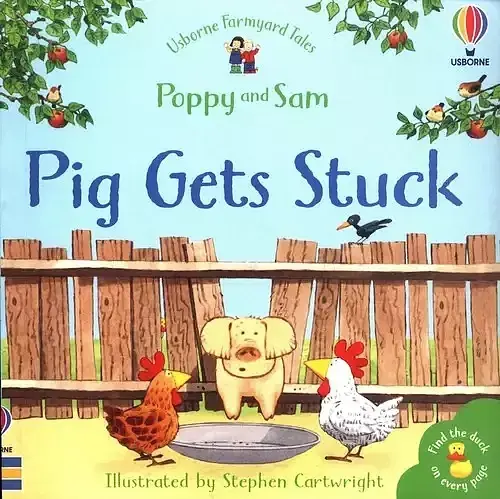 Pig Gets Stuck