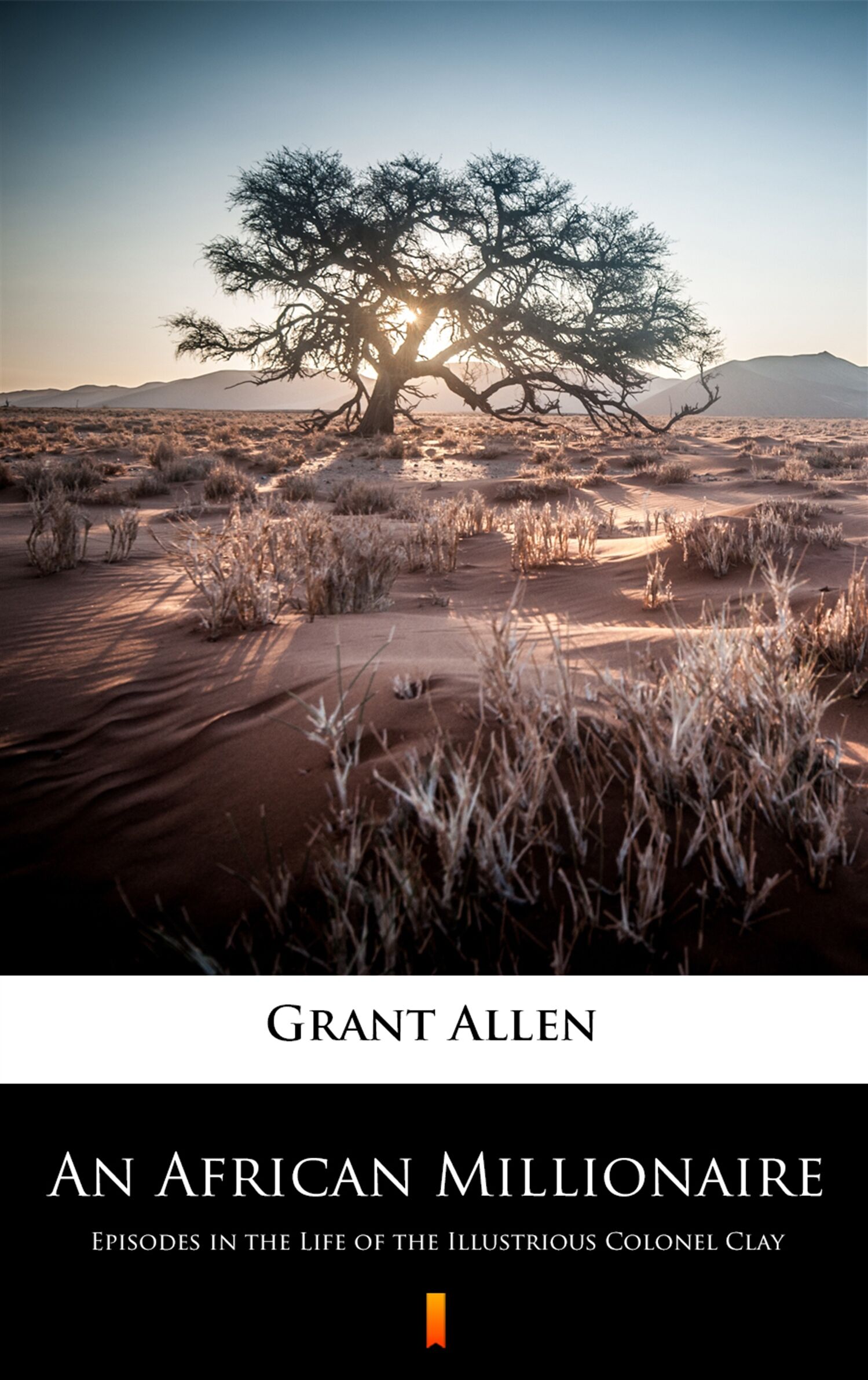An African Millionaire (e-book)