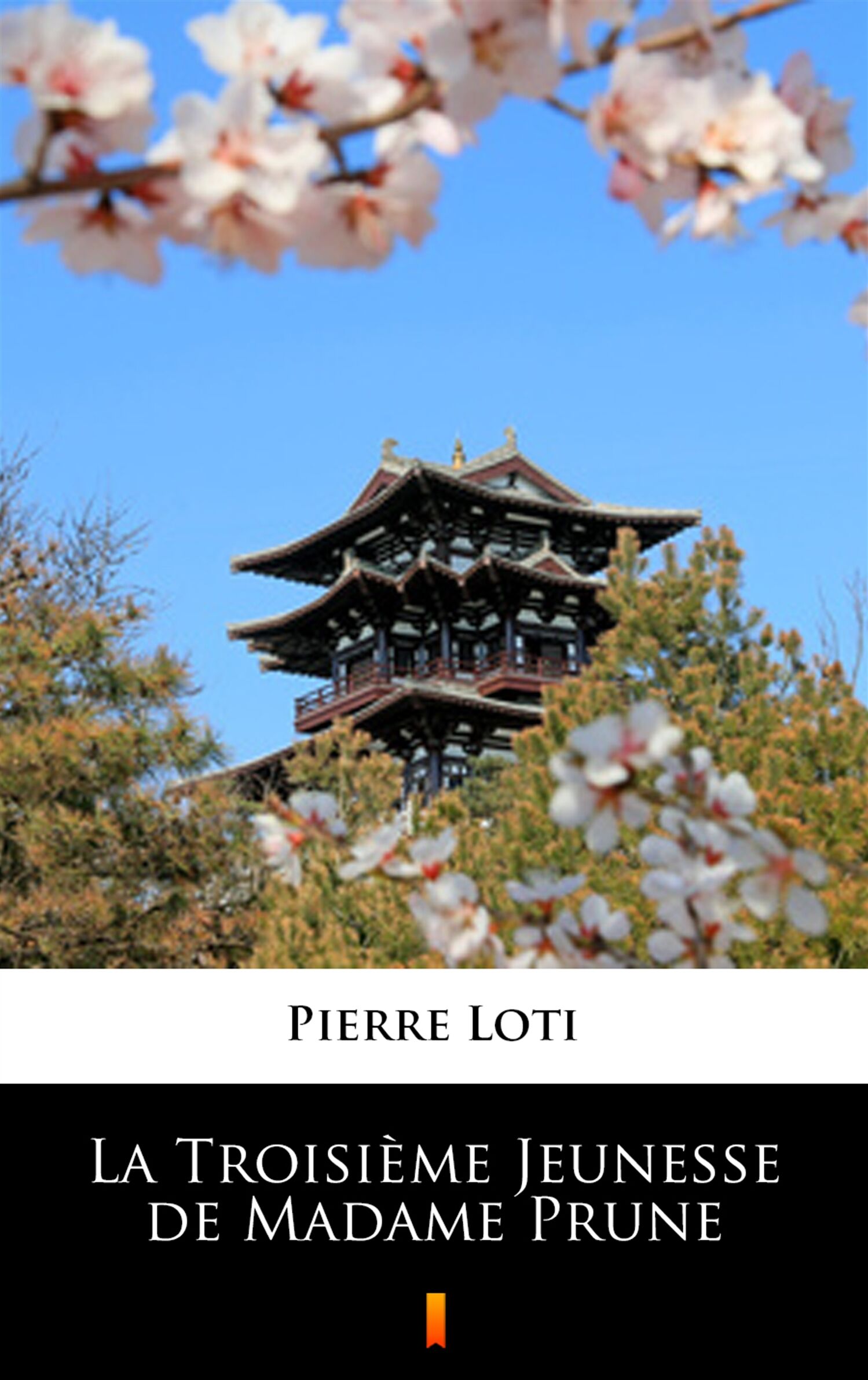 La Troisième Jeunesse de Madame Prune (e-book)