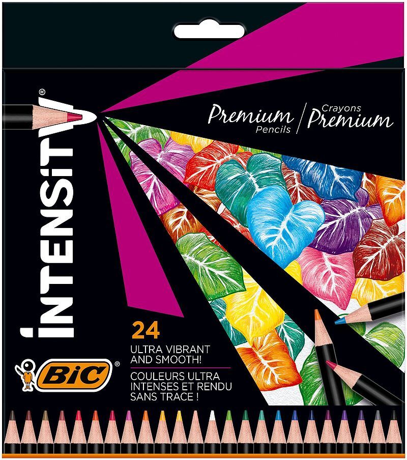 Kredki ołówkowe bic intensity premium 24 kolorów pudełko
