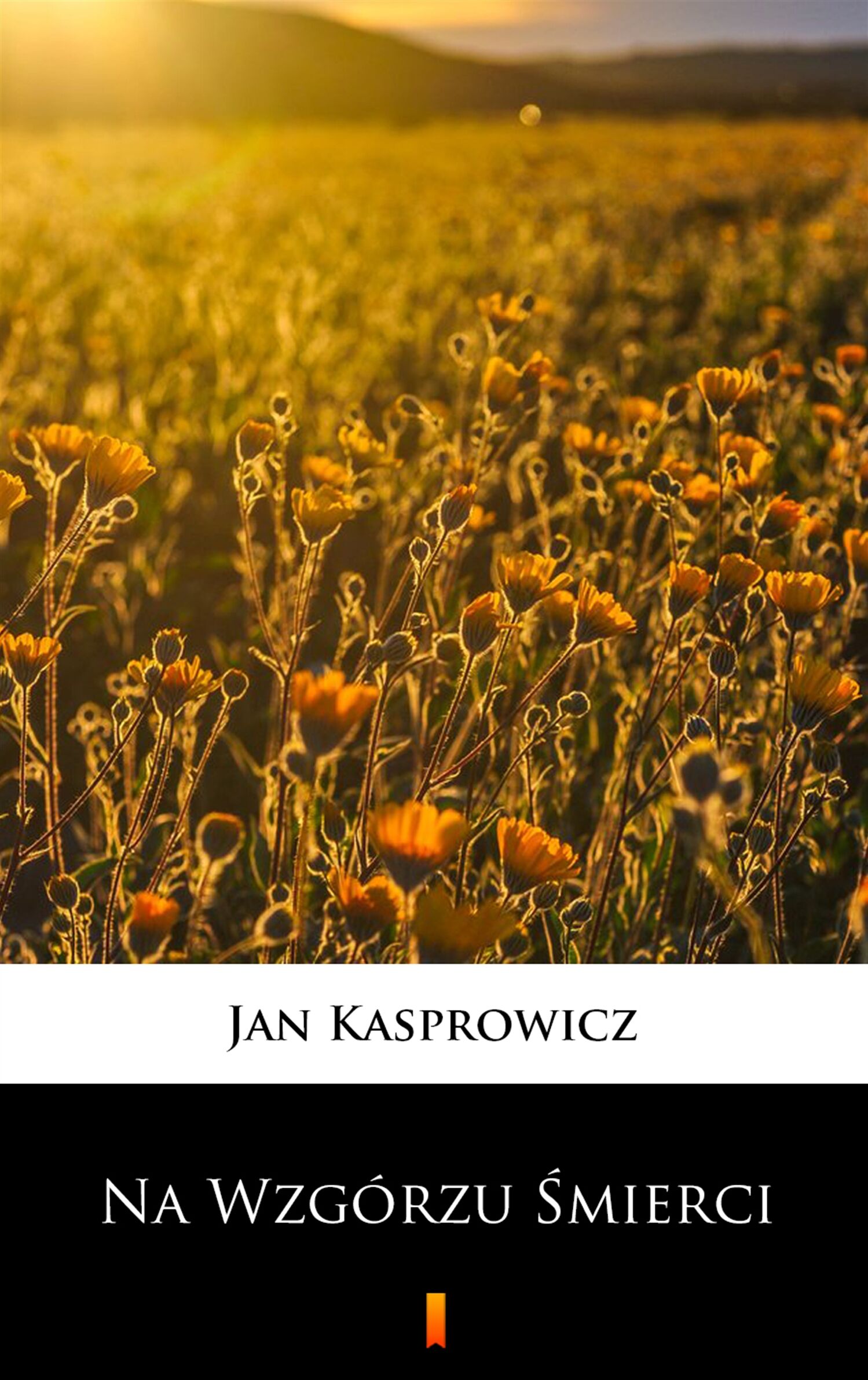 Na Wzgórzu Śmierci (e-book)