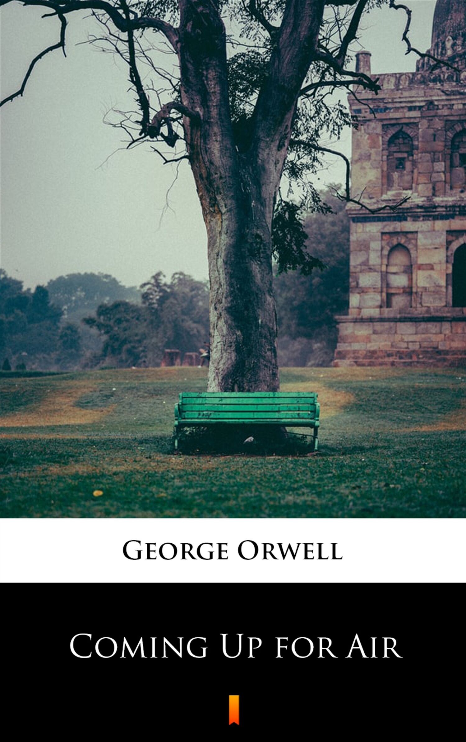 Coming Up for Air (e-book)