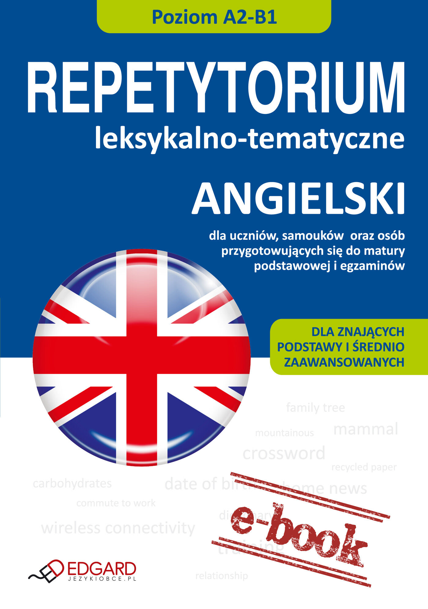 Angielski - Repetytorium leksykalno-tematyczne A2-B1 (e-book)