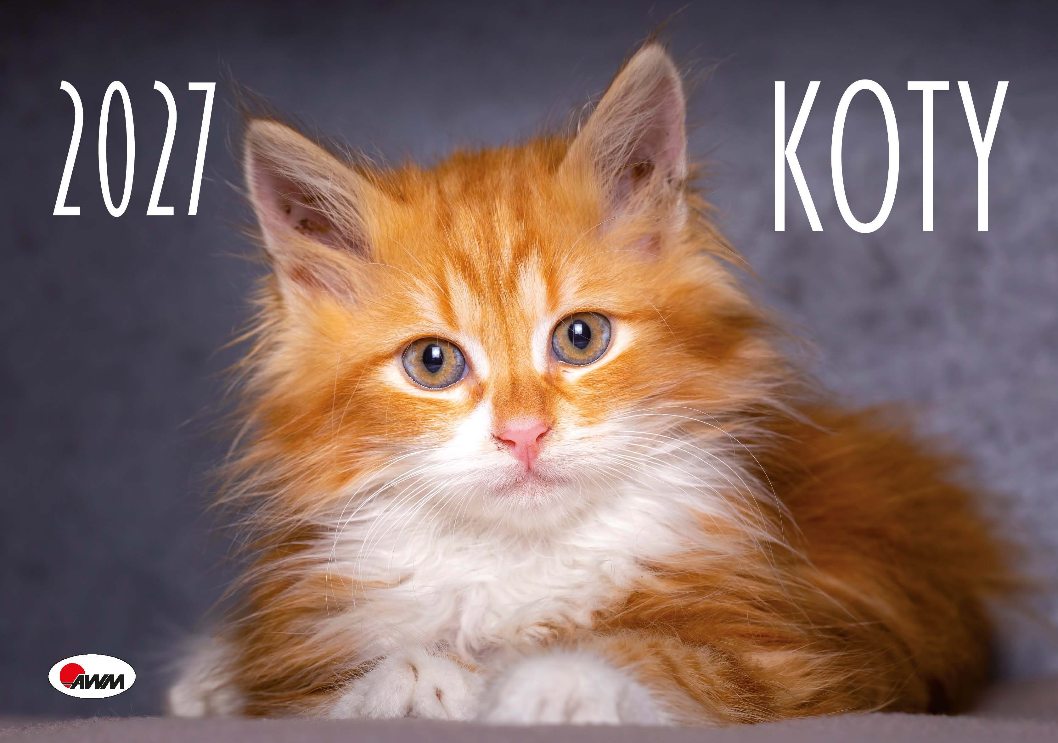 Kalendarz 2027 ścienny Koty KA2