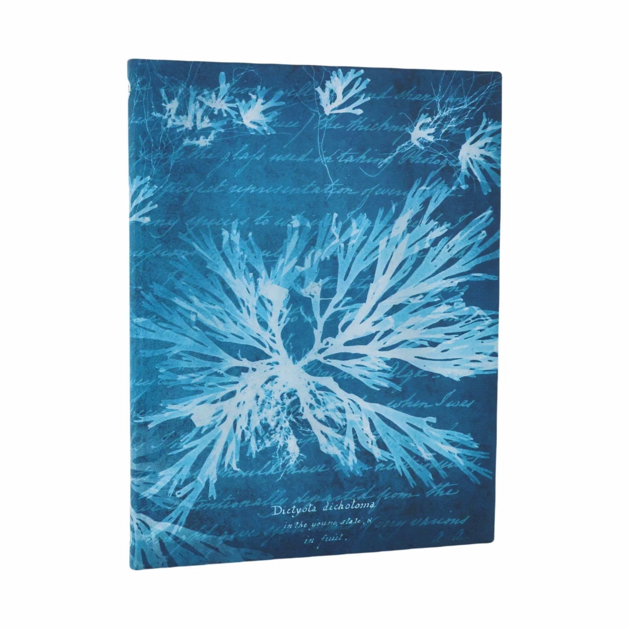 Notatnik Sea Flowers Ultra linia