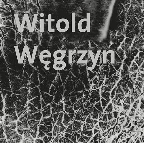 Witold Węgrzyn Nieuchwytna materialność / Muzeum Narodowe w Gdańsku