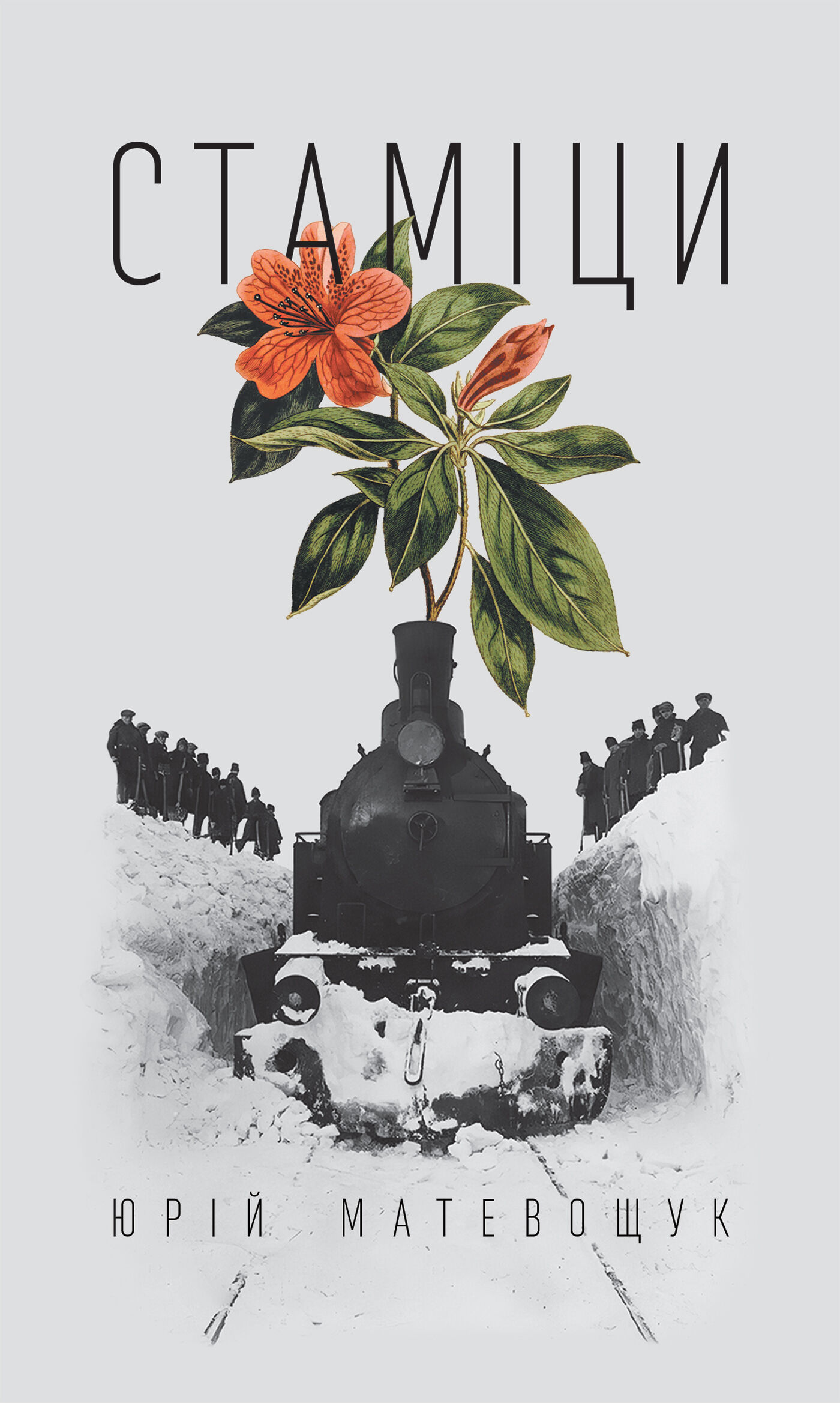 Стаміци (e-book)