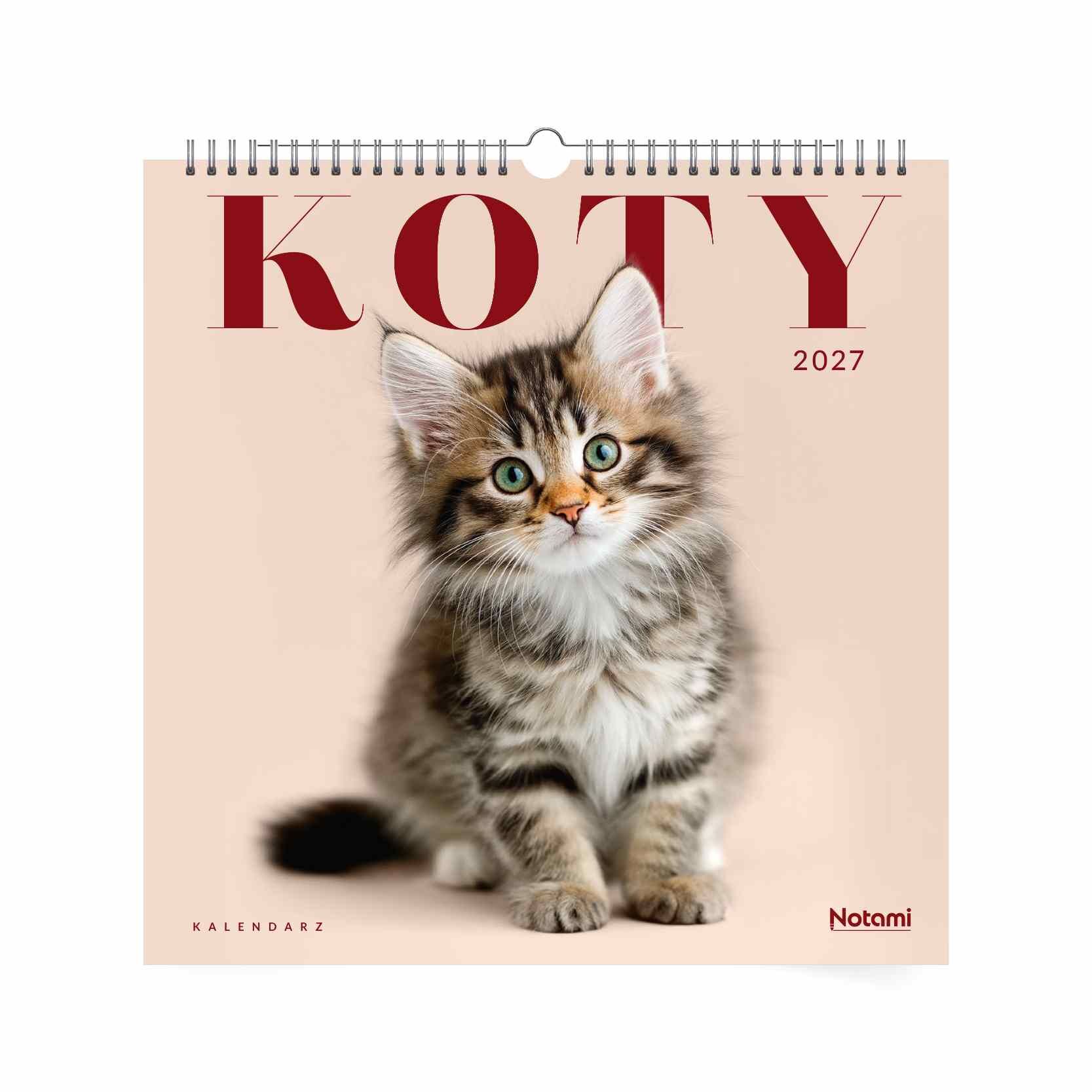 Kalendarz 2027 ścienny Koty 33x33
