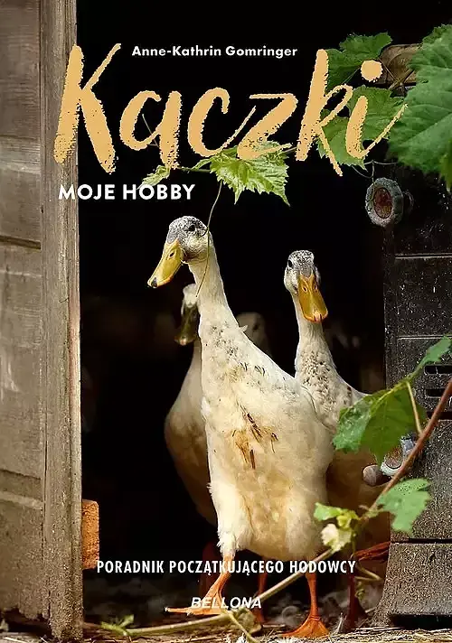 Kaczki - moje hobby