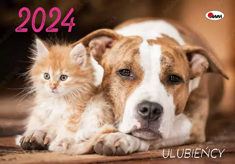 Kalendarz 2024 ulubieńcy ka4 ścienny