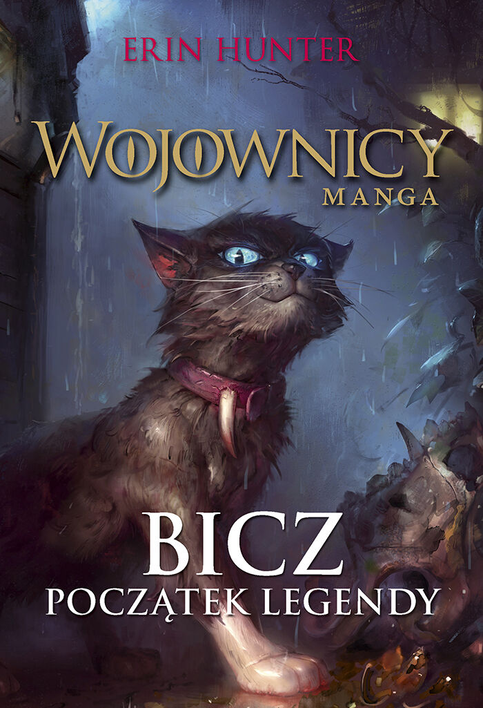 Bicz (e-book)