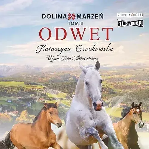 Dolina marzeń Tom 2 Odwet (audiobook CD)