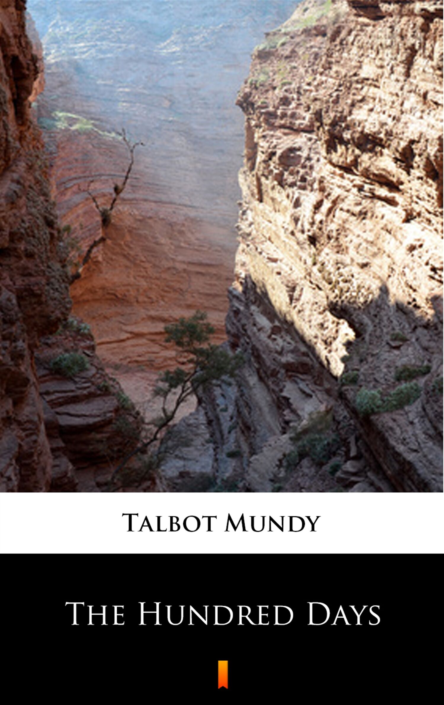 The Hundred Days (e-book)