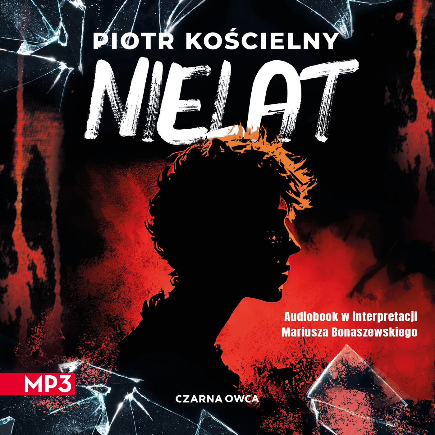 Nielat (audiobook MP3)