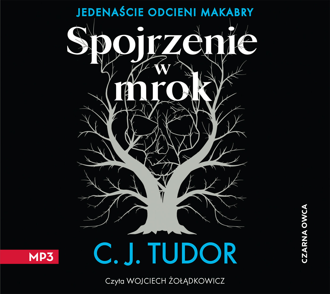 Spojrzenie w mrok (audiobook MP3)