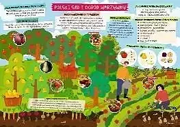 Podkładka dwustronna na biurko b3 sad i ogród warzywny