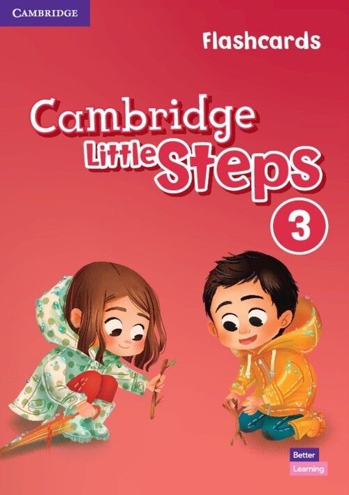 Cambridge Little Steps 3 Flashcards