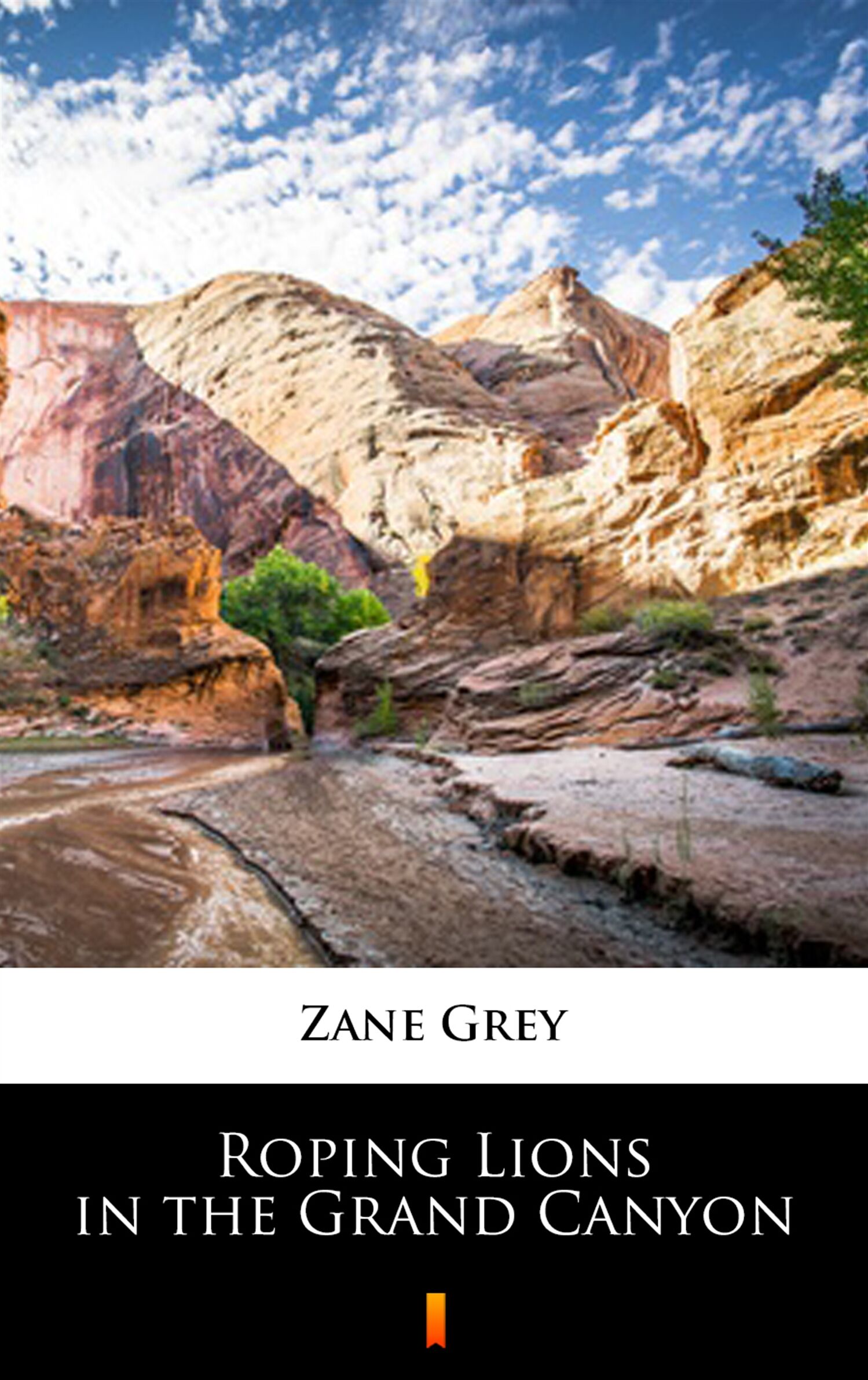 Roping Lions in the Grand Canyon (e-book)