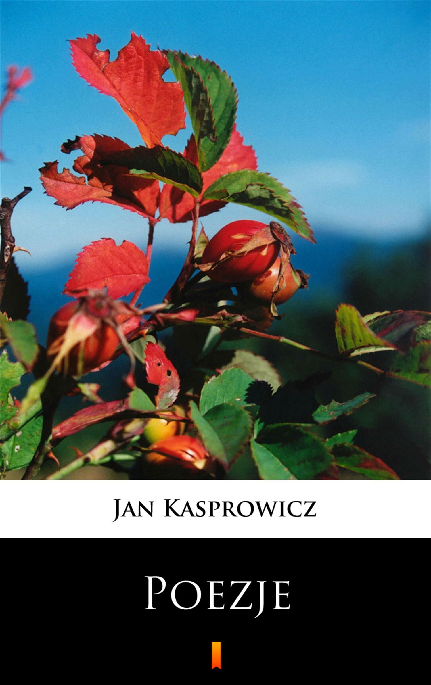Poezje (e-book)