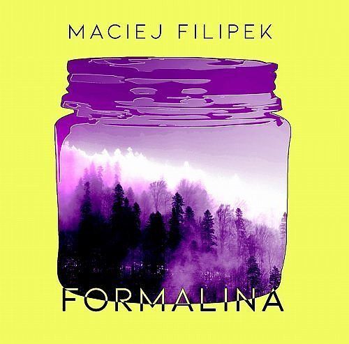 Formalina / Instytut Literatury