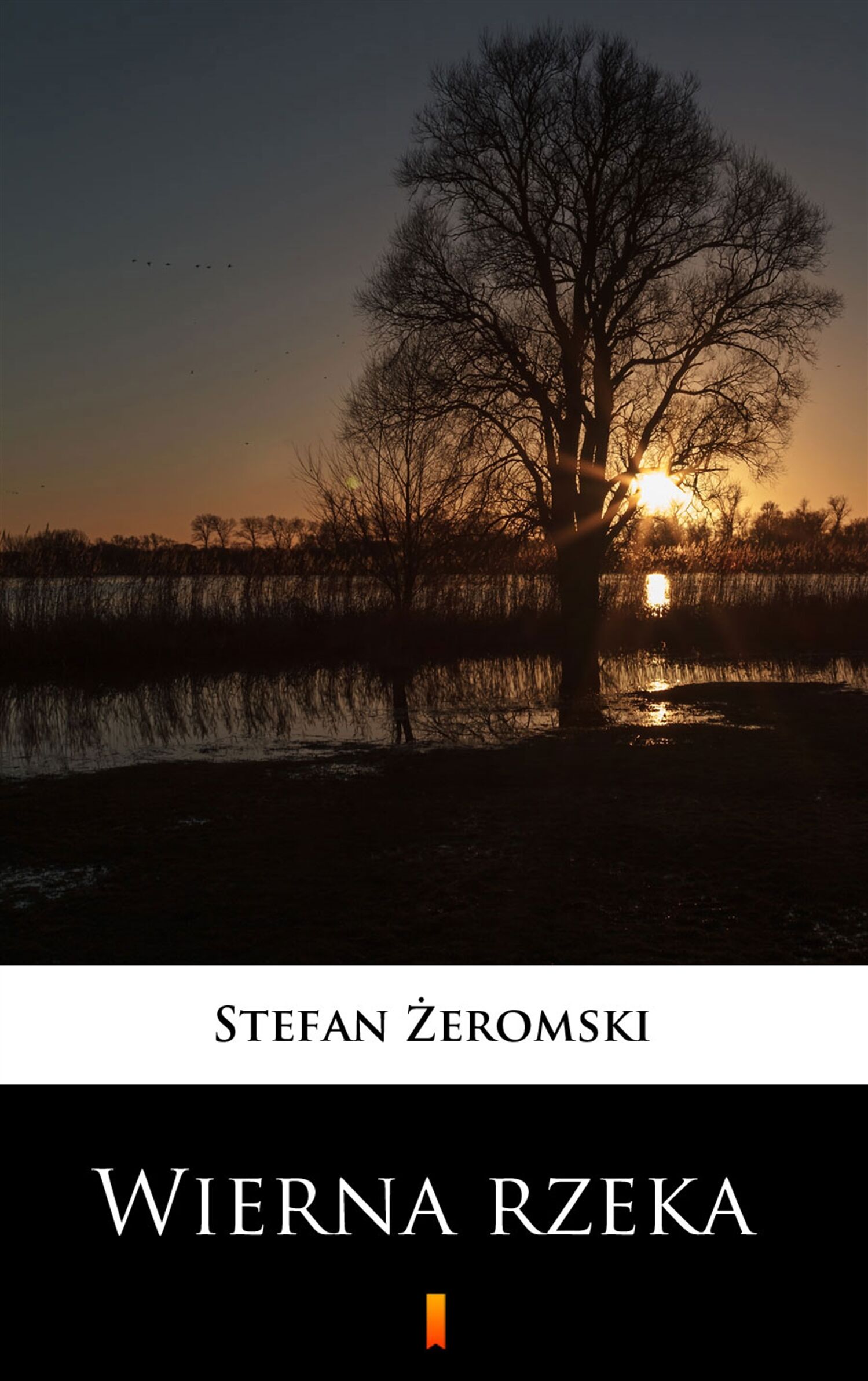 Wierna rzeka (e-book)