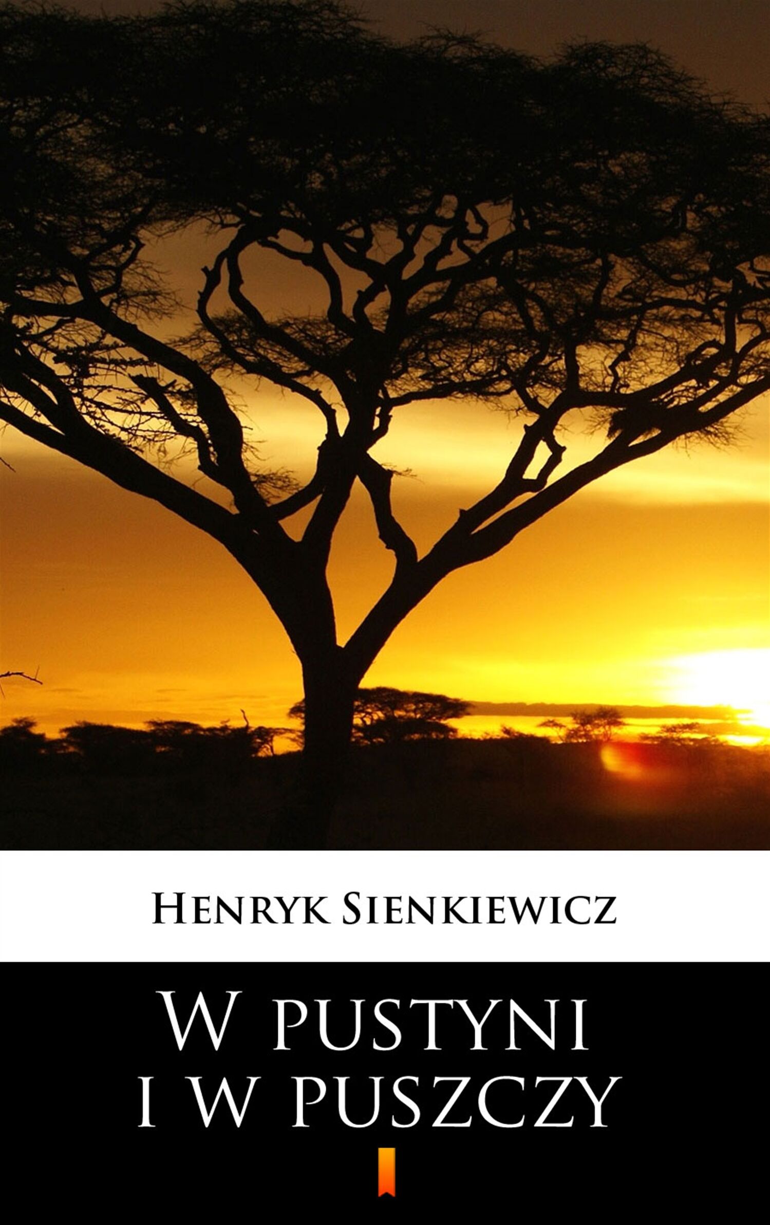 W pustyni i w puszczy (e-book)