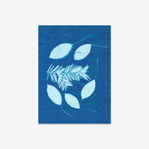 Papier słoneczny (cyjanotypia)  20 arkuszy 14 x 19cm