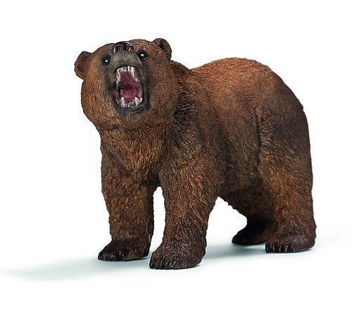Niedźwiedź grizzly slh14685