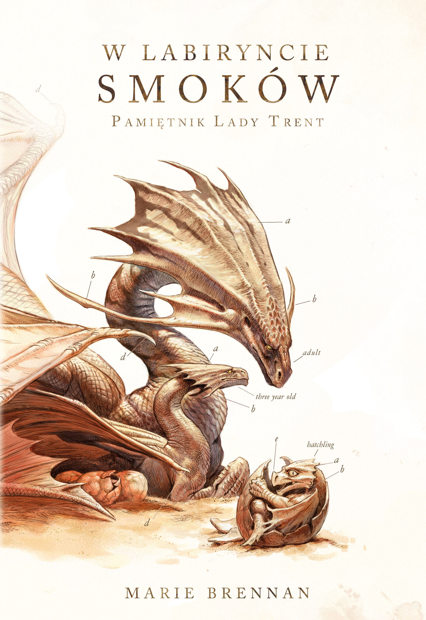 W labiryncie smoków (e-book)