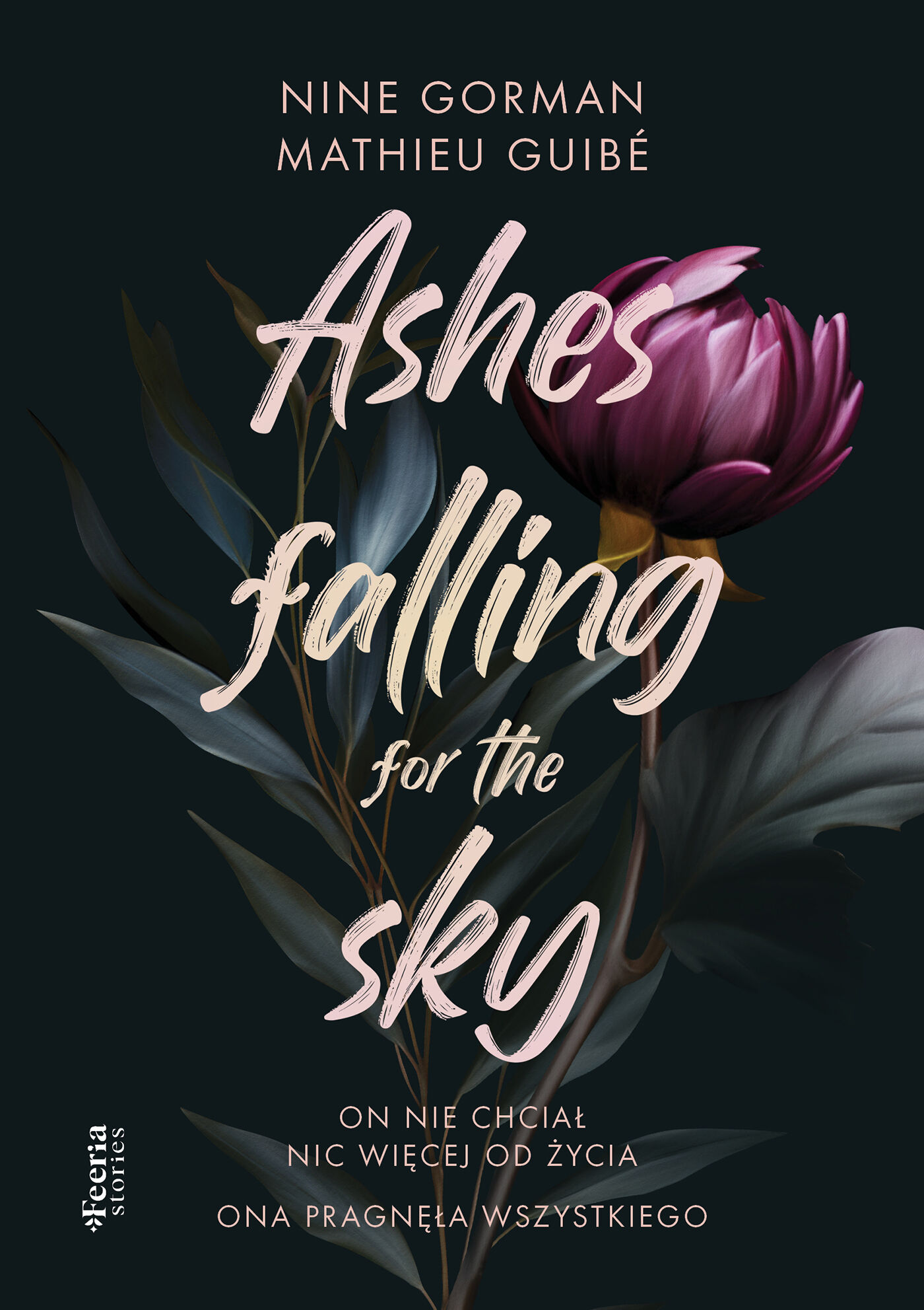 Ashes falling for the sky Tom 1 (e-book)