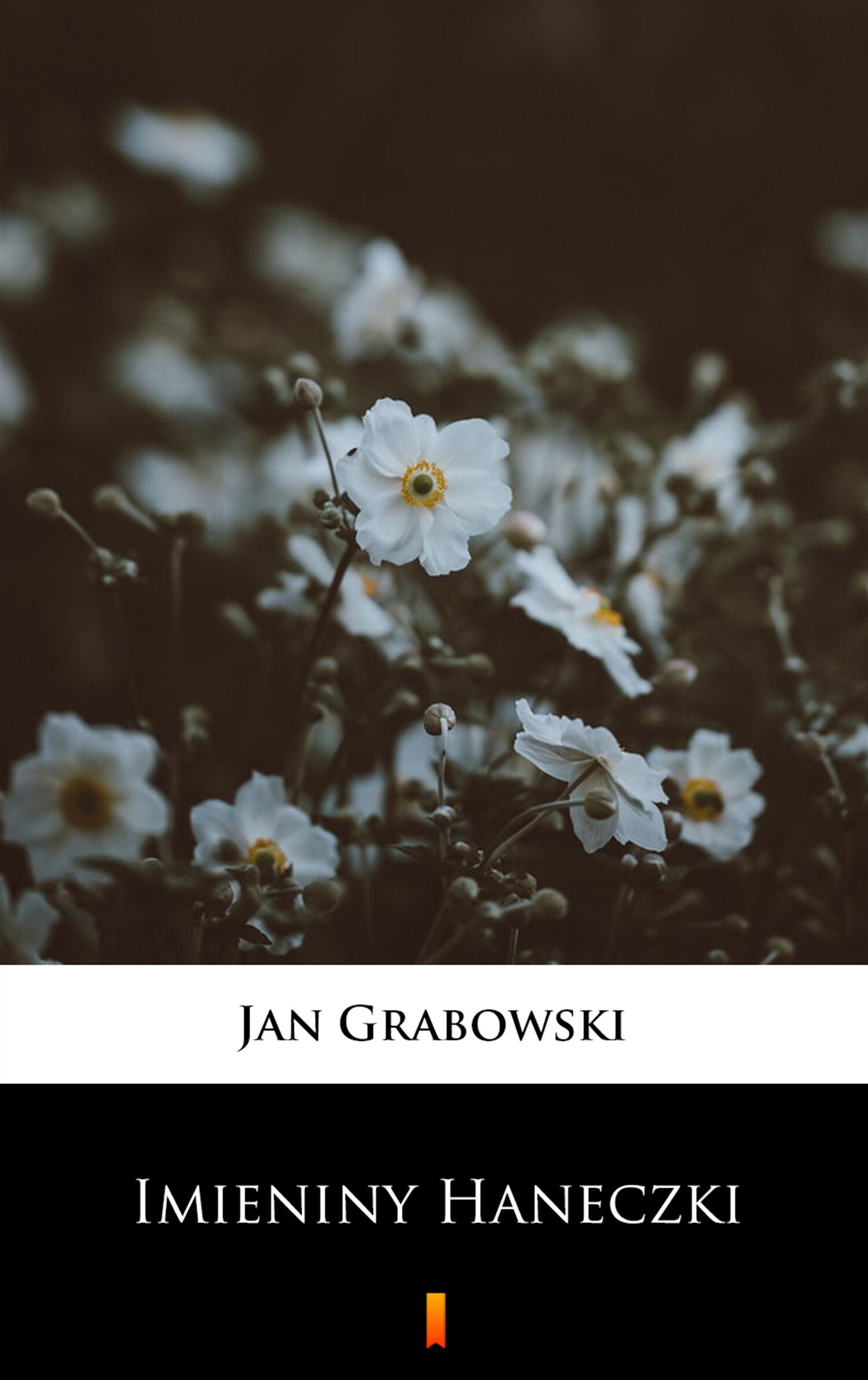 Imieniny Haneczki (e-book)