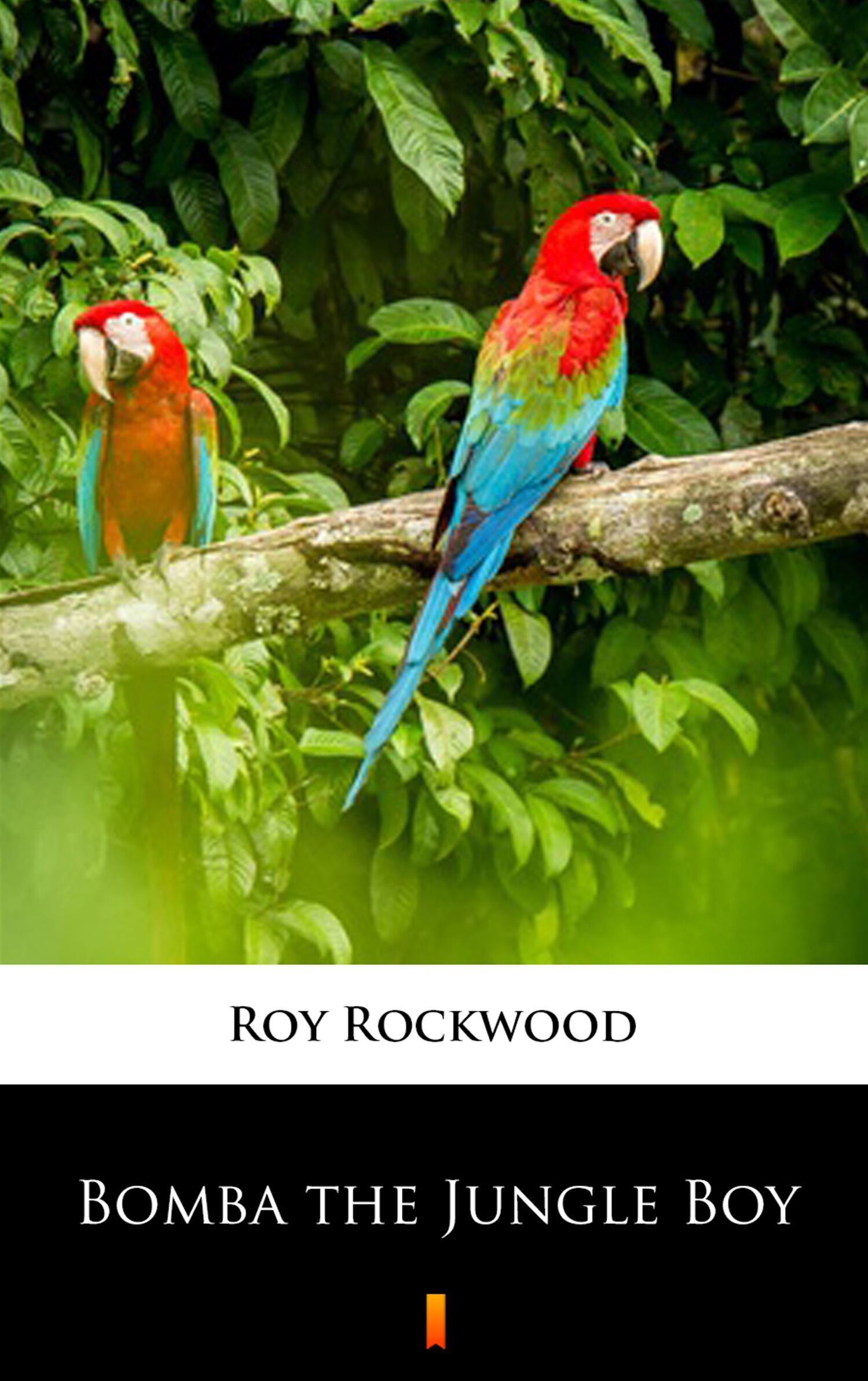 Bomba the Jungle Boy (e-book)
